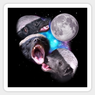 Three Honey Badgers Howl at the Moon Sticker